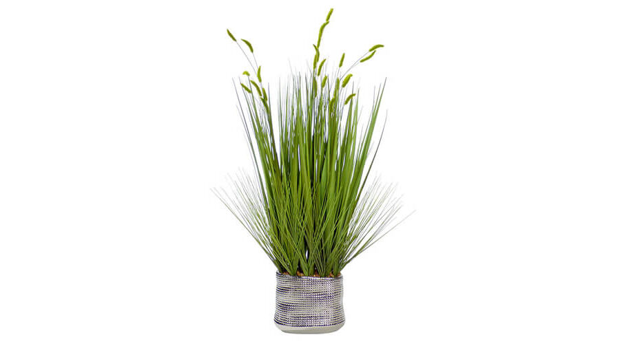Floor Plants